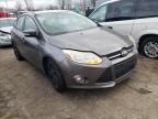 2014 FORD  FOCUS