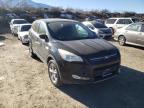 2013 FORD  ESCAPE