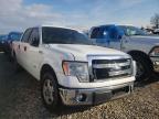 2014 FORD  F-150