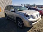 2013 LEXUS  GX