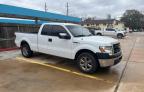 2013 FORD  F-150