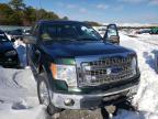 2013 FORD  F-150