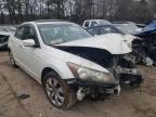 2008 HONDA  ACCORD