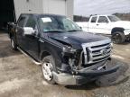 2009 FORD  F-150