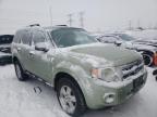 2008 FORD  ESCAPE