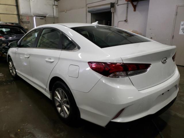 5NPE24AF7KH804697 Hyundai Sonata Se 2019. Фото: 2