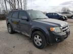 2008 FORD  ESCAPE