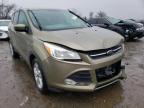 2013 FORD  ESCAPE