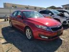 KIA OPTIMA LX photo