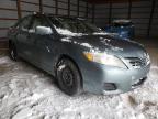 2010 TOYOTA  CAMRY