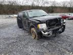 2010 FORD  F-150