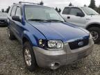 2007 FORD  ESCAPE