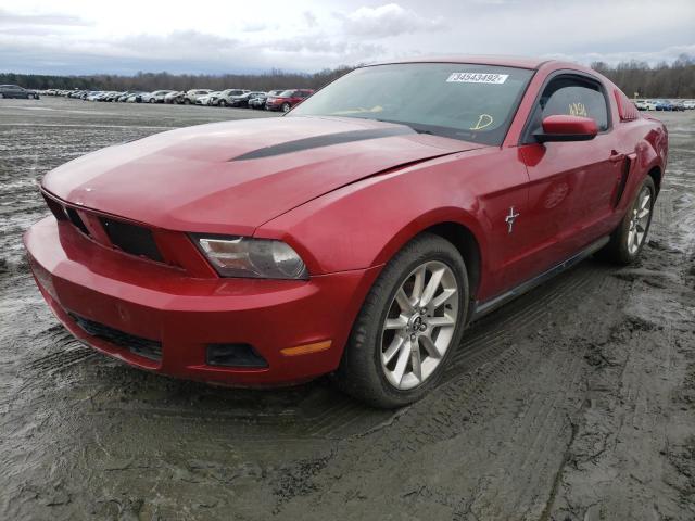 FORD MUSTANG 2010 1