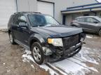 2008 FORD  ESCAPE