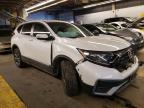 2020 HONDA  CRV