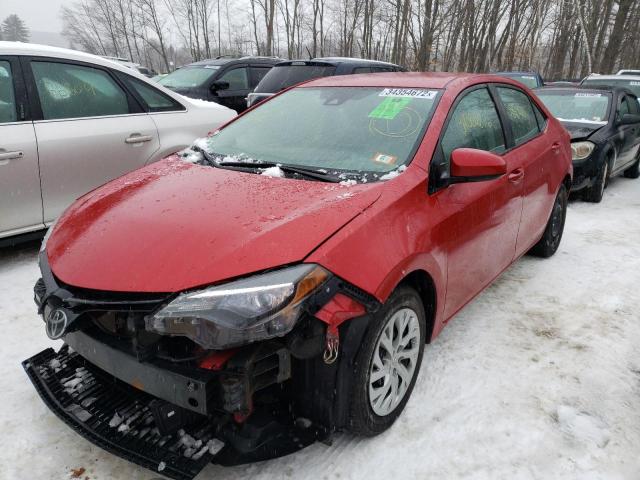 2T1BURHE7HC795549 Toyota Corolla L 2017. Фото: 1