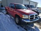 2005 DODGE  DAKOTA