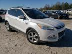 2013 FORD  ESCAPE