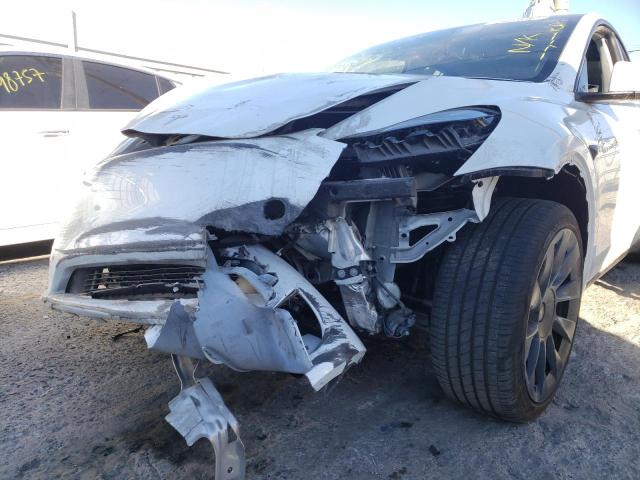 2020 TESLA MODEL Y 5YJYGDEE0LF056195