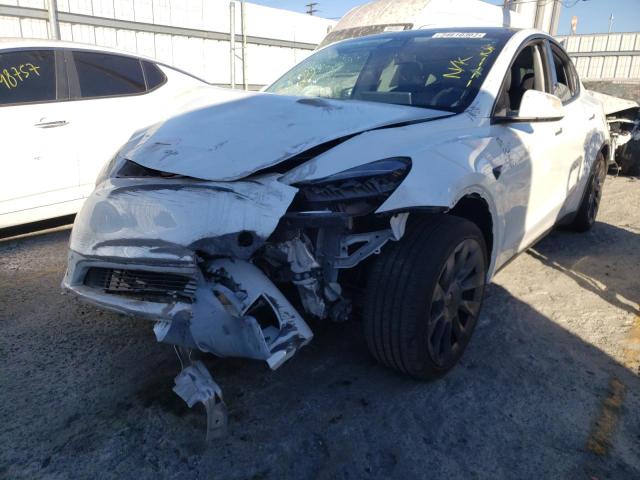 2020 TESLA MODEL Y 5YJYGDEE0LF056195