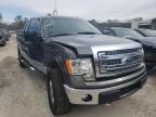 2013 FORD  F-150