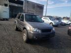 2005 FORD  ESCAPE