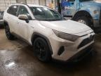 2019 TOYOTA  RAV4