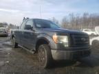 2010 FORD  F-150