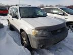 2007 FORD  ESCAPE