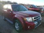 2008 FORD  ESCAPE