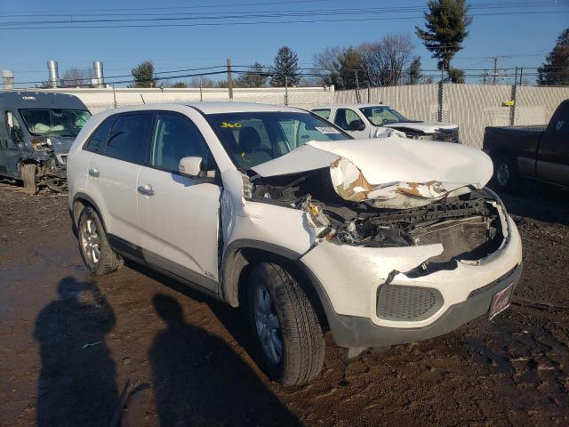 2011 KIA SORENTO BA - 5XYKTCA16BG174323