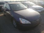 2005 HONDA  ACCORD