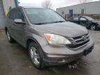 2010 HONDA  CRV