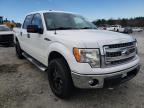 2013 FORD  F-150