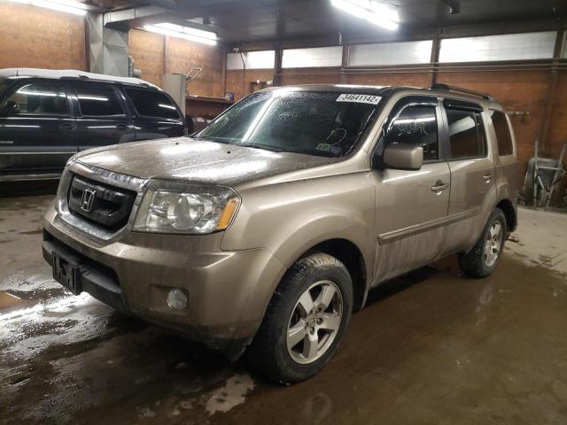 5FNYF4H69AB001801 Honda Pilot Exl 2010. Фото: 1