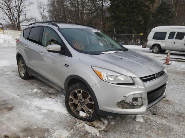 Salvage cars for sale at Northfield, OH auction: 2013 Ford Escape SEL
