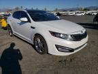 2013 KIA  OPTIMA