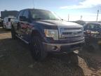 2013 FORD  F-150