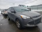 2014 FORD  ESCAPE