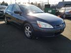 2005 HONDA  ACCORD