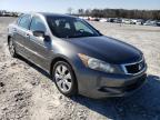 2010 HONDA  ACCORD