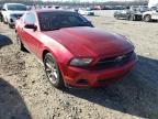 2010 FORD  MUSTANG