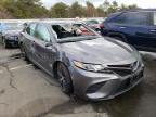 2019 TOYOTA  CAMRY