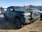 2021 TOYOTA  TACOMA