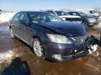 2010 LEXUS  ES350