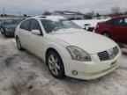 2006 NISSAN  MAXIMA