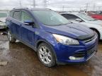 2014 FORD  ESCAPE