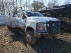 2019 CHEVROLET  SILVERADO