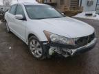 HONDA ACCORD 2010 foto