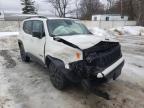 2019 JEEP  RENEGADE